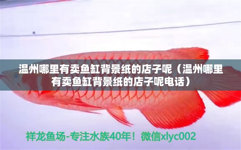 溫州哪里有賣魚缸背景紙的店子呢（溫州哪里有賣魚缸背景紙的店子呢電話） 量子養(yǎng)魚技術(shù)