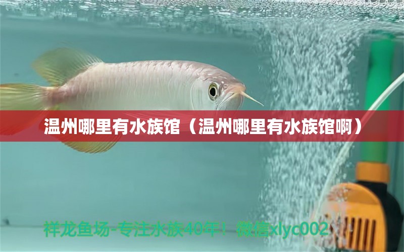 溫州哪里有水族館（溫州哪里有水族館?。?觀賞魚市場(chǎng)（混養(yǎng)魚）