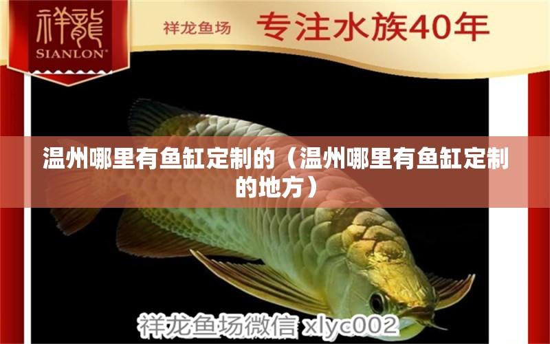 溫州哪里有魚缸定制的（溫州哪里有魚缸定制的地方） 其他品牌魚缸