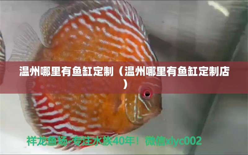 溫州哪里有魚(yú)缸定制（溫州哪里有魚(yú)缸定制店） 黑桃A魚(yú)苗