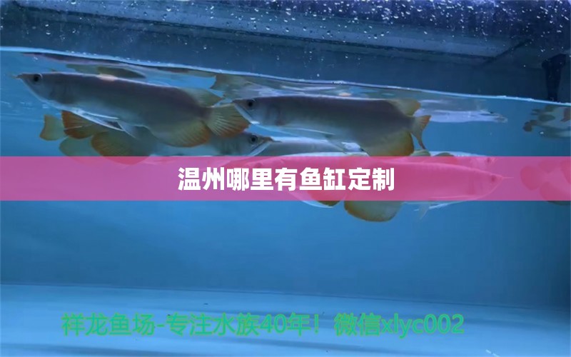 溫州哪里有魚(yú)缸定制 其他品牌魚(yú)缸