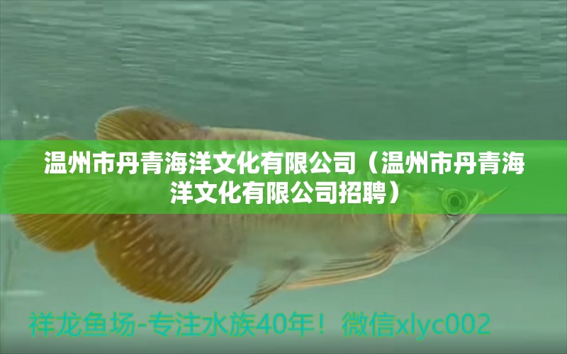 溫州市丹青海洋文化有限公司（溫州市丹青海洋文化有限公司招聘） 全國水族館企業(yè)名錄