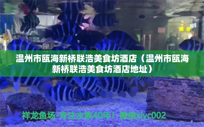 溫州市甌海新橋聯(lián)浩美食坊酒店（溫州市甌海新橋聯(lián)浩美食坊酒店地址） 全國水族館企業(yè)名錄