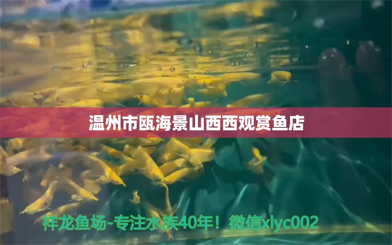 溫州市甌海景山西西觀賞魚店