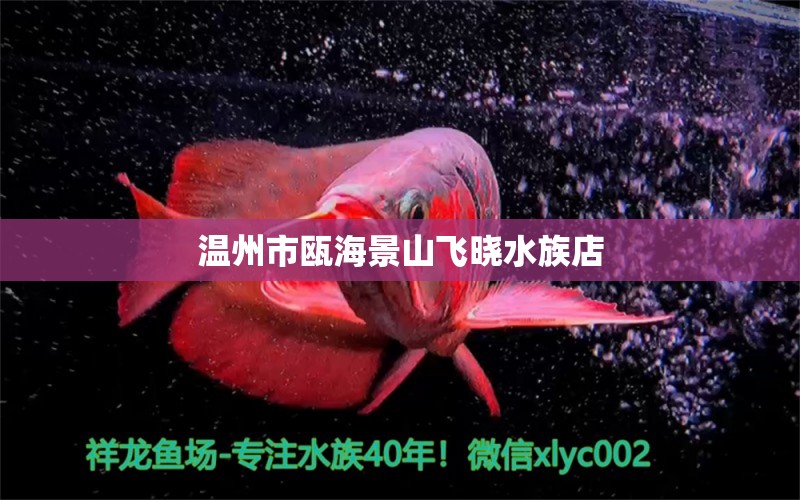 溫州市甌海景山飛曉水族店 全國水族館企業(yè)名錄