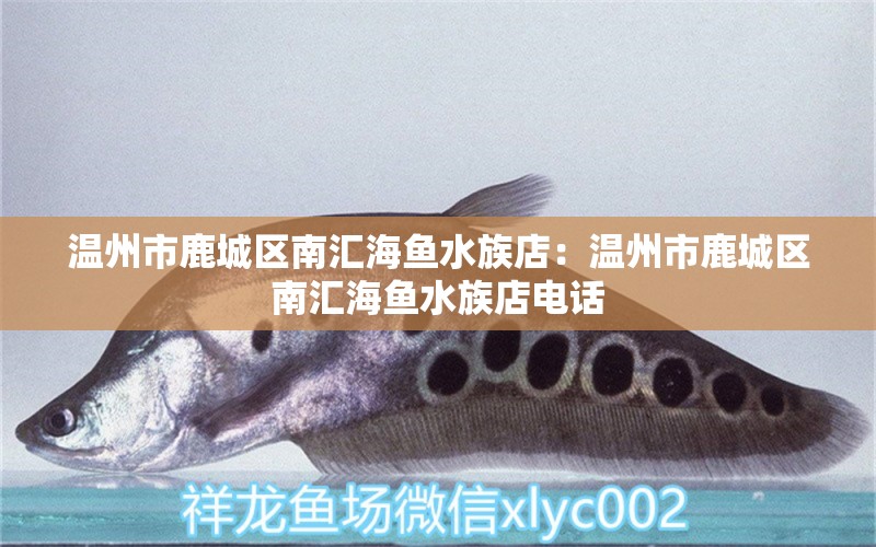 溫州市鹿城區(qū)南匯海魚水族店：溫州市鹿城區(qū)南匯海魚水族店電話