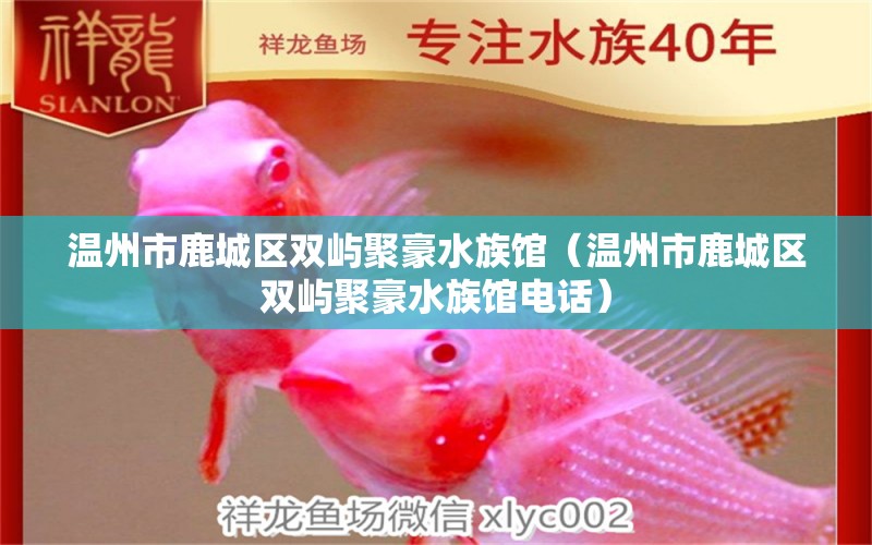 溫州市鹿城區(qū)雙嶼聚豪水族館（溫州市鹿城區(qū)雙嶼聚豪水族館電話）