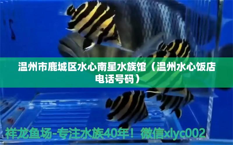 溫州市鹿城區(qū)水心南星水族館（溫州水心飯店電話號碼）