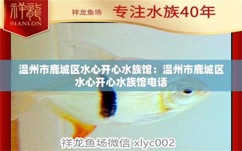 溫州市鹿城區(qū)水心開心水族館：溫州市鹿城區(qū)水心開心水族館電話 全國(guó)水族館企業(yè)名錄