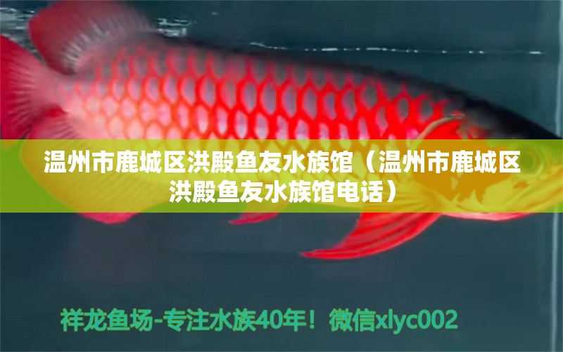 溫州市鹿城區(qū)洪殿魚友水族館（溫州市鹿城區(qū)洪殿魚友水族館電話）