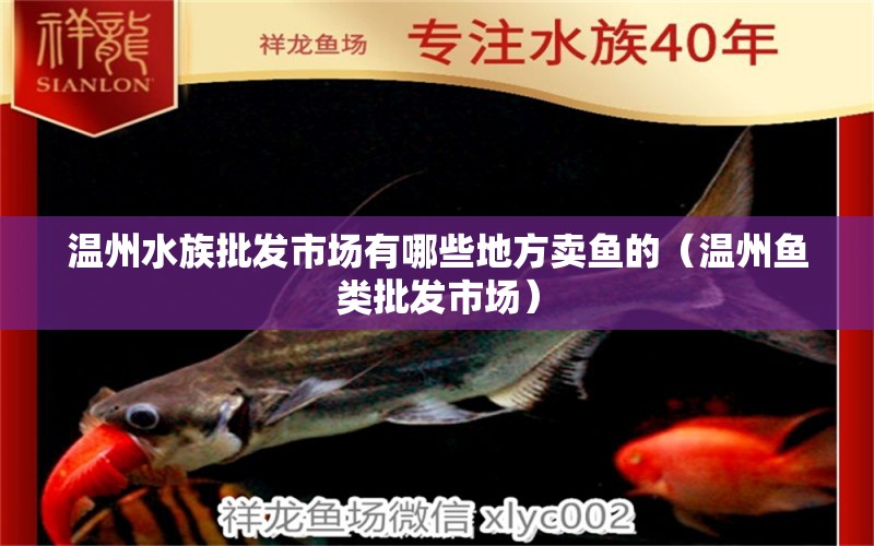 溫州水族批發(fā)市場有哪些地方賣魚的（溫州魚類批發(fā)市場） 速倍妥魚糧魚藥