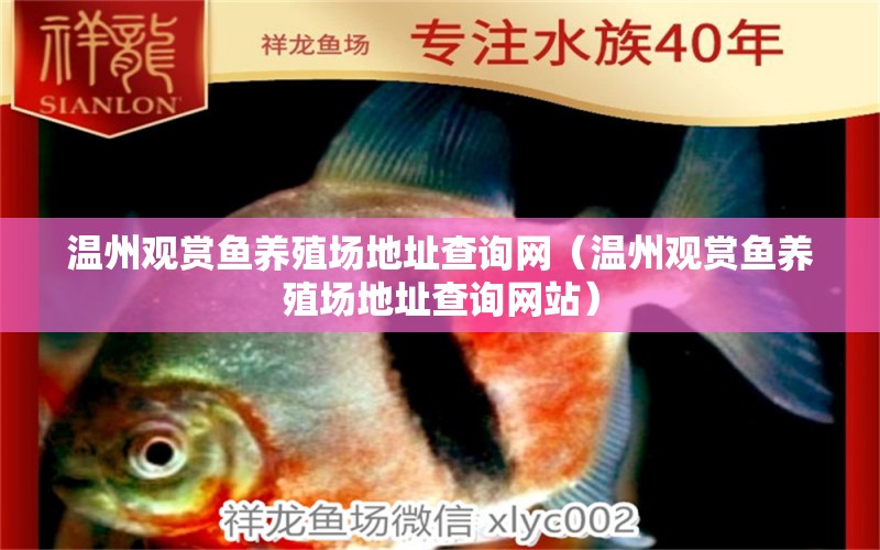 溫州觀賞魚養(yǎng)殖場地址查詢網(wǎng)（溫州觀賞魚養(yǎng)殖場地址查詢網(wǎng)站）