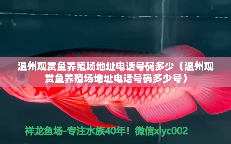 溫州觀賞魚養(yǎng)殖場地址電話號碼多少（溫州觀賞魚養(yǎng)殖場地址電話號碼多少號） 魚缸/水族箱