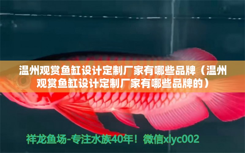 溫州觀賞魚缸設(shè)計定制廠家有哪些品牌（溫州觀賞魚缸設(shè)計定制廠家有哪些品牌的） 巴卡雷龍魚