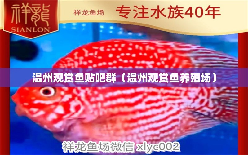 溫州觀賞魚貼吧群（溫州觀賞魚養(yǎng)殖場） 廣州觀賞魚批發(fā)市場