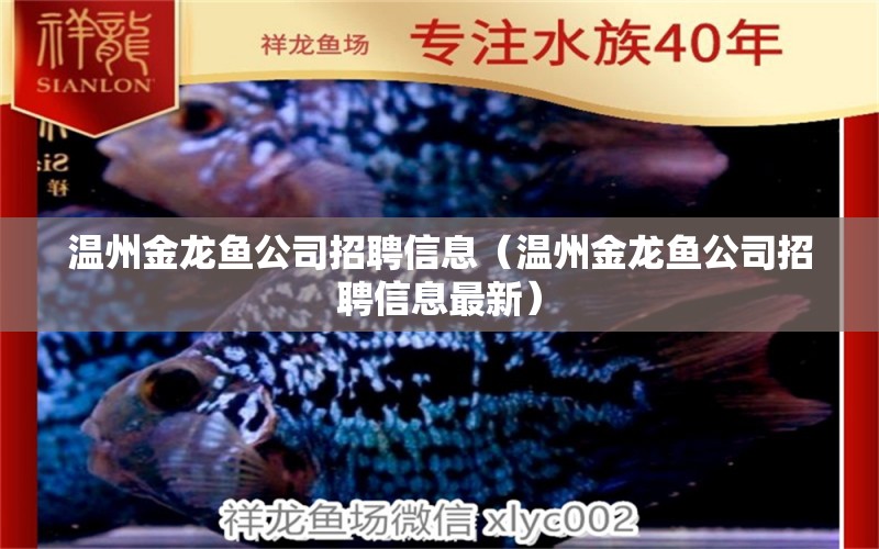 溫州金龍魚公司招聘信息（溫州金龍魚公司招聘信息最新）