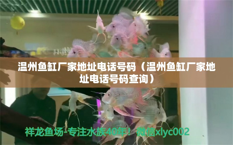 溫州魚缸廠家地址電話號碼（溫州魚缸廠家地址電話號碼查詢）