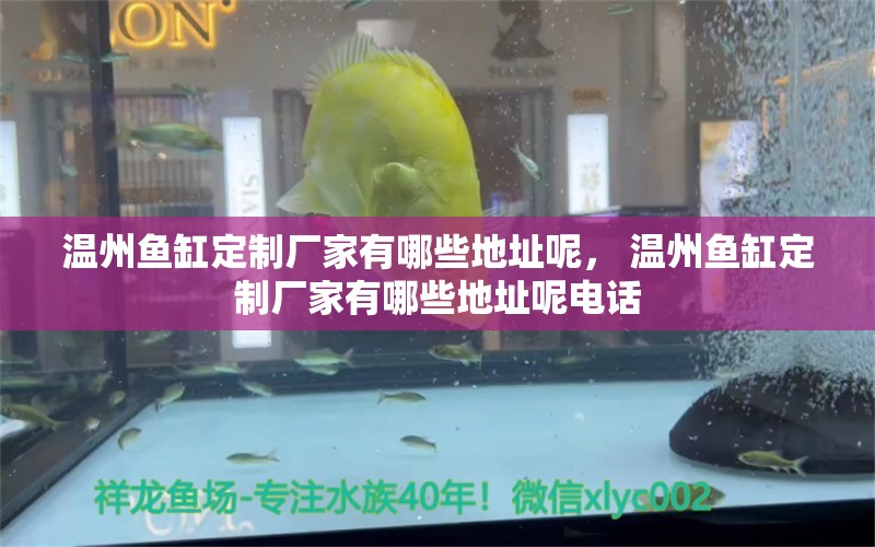 溫州魚缸定制廠家有哪些地址呢， 溫州魚缸定制廠家有哪些地址呢電話 祥龍金禾金龍魚