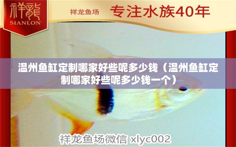 溫州魚缸定制哪家好些呢多少錢（溫州魚缸定制哪家好些呢多少錢一個）