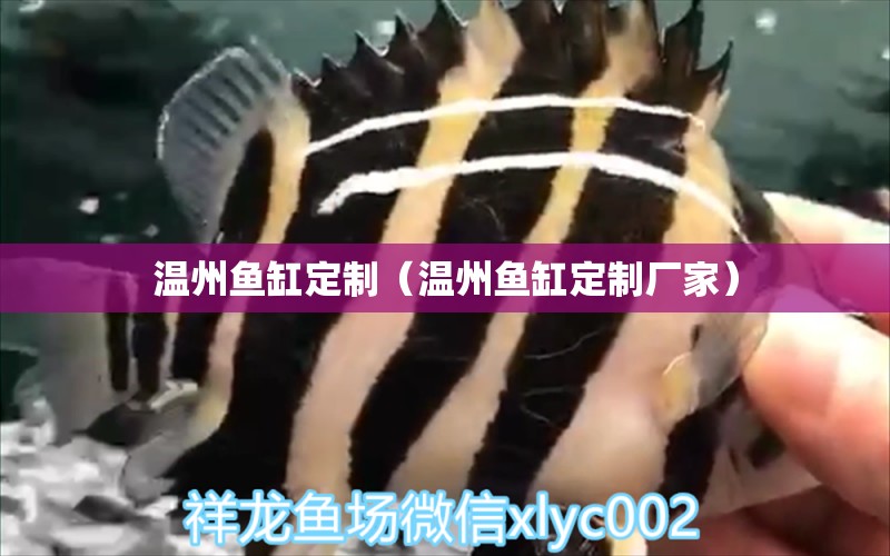 溫州魚(yú)缸定制（溫州魚(yú)缸定制廠家） 其他品牌魚(yú)缸