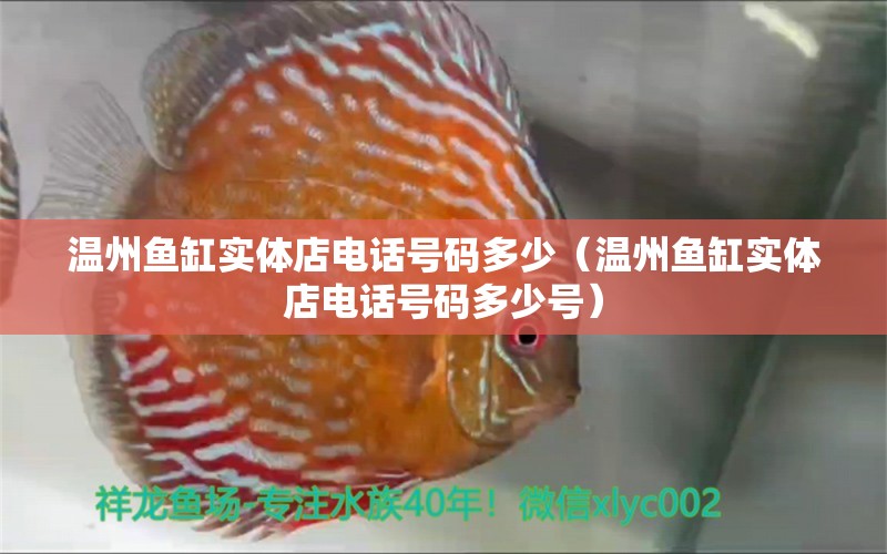 溫州魚(yú)缸實(shí)體店電話(huà)號(hào)碼多少（溫州魚(yú)缸實(shí)體店電話(huà)號(hào)碼多少號(hào)） 祥龍水族醫(yī)院