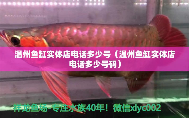 溫州魚缸實(shí)體店電話多少號（溫州魚缸實(shí)體店電話多少號碼） 觀賞龜/鱉飼料