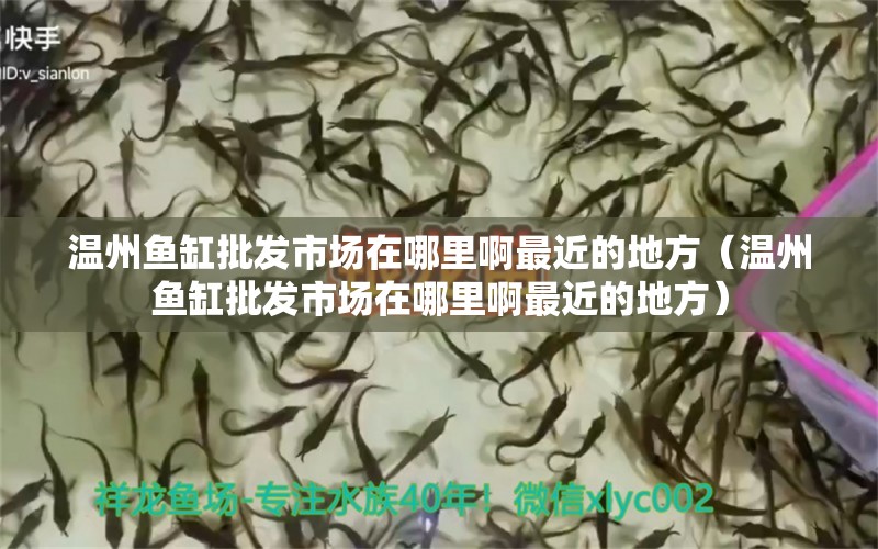 溫州魚缸批發(fā)市場在哪里啊最近的地方（溫州魚缸批發(fā)市場在哪里啊最近的地方） 金頭過背金龍魚