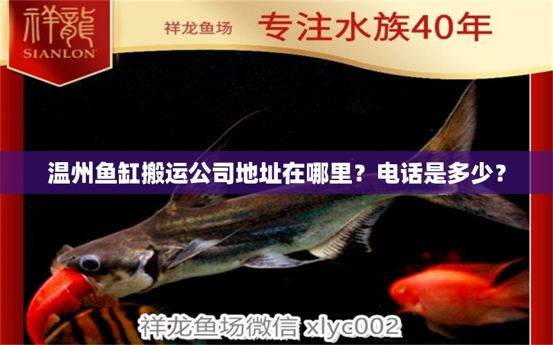 溫州魚(yú)缸搬運(yùn)公司地址在哪里？電話是多少？