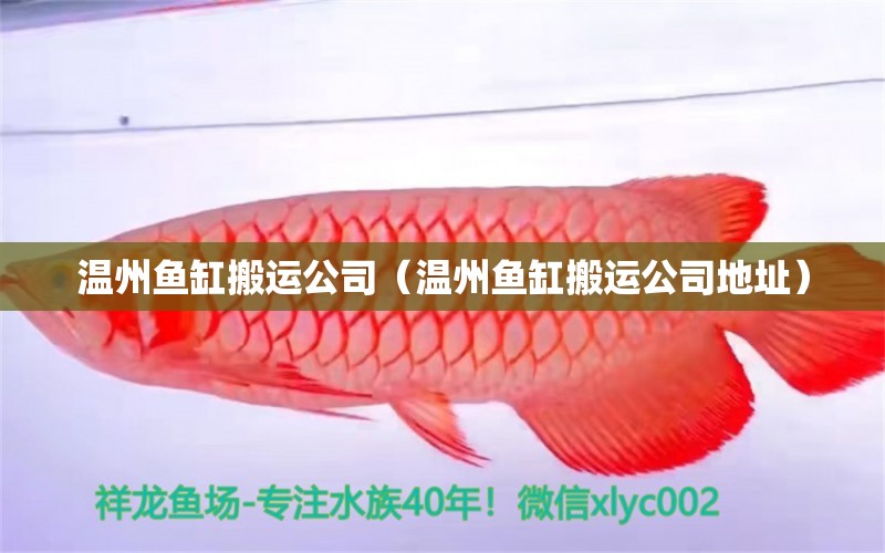 溫州魚(yú)缸搬運(yùn)公司（溫州魚(yú)缸搬運(yùn)公司地址） 廣州觀賞魚(yú)批發(fā)市場(chǎng)