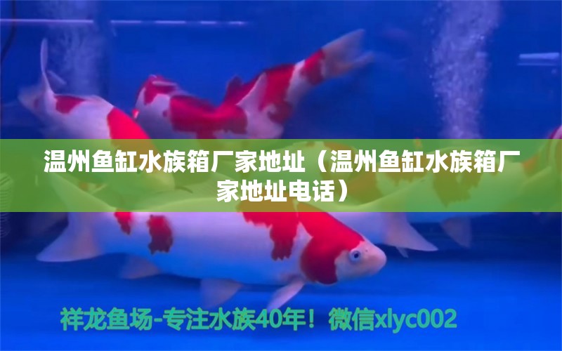 溫州魚缸水族箱廠家地址（溫州魚缸水族箱廠家地址電話）