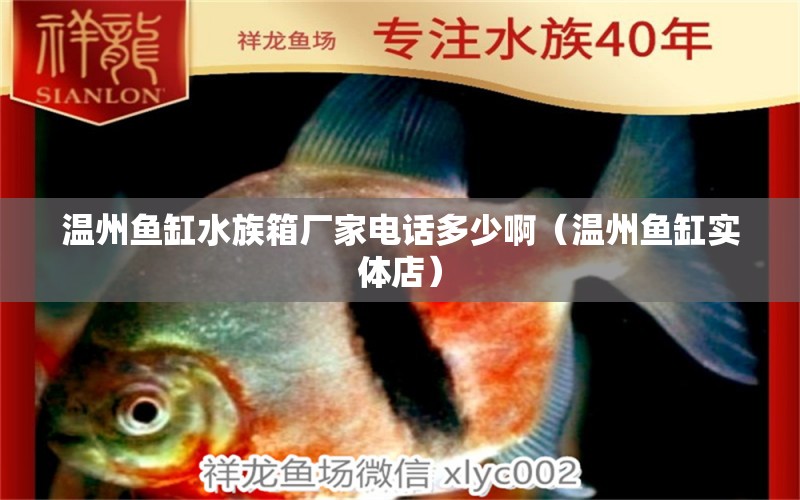 溫州魚缸水族箱廠家電話多少?。刂蒴~缸實體店） 檸檬鯽