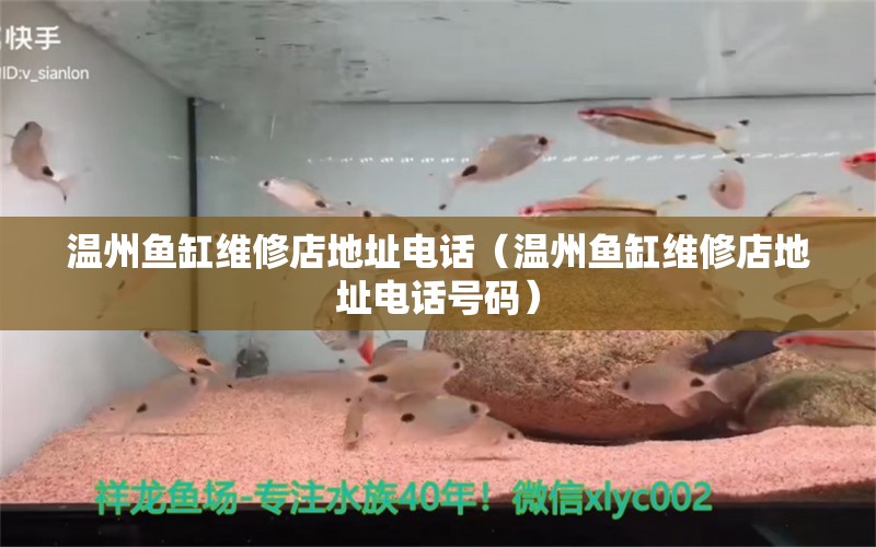 溫州魚(yú)缸維修店地址電話(huà)（溫州魚(yú)缸維修店地址電話(huà)號(hào)碼）