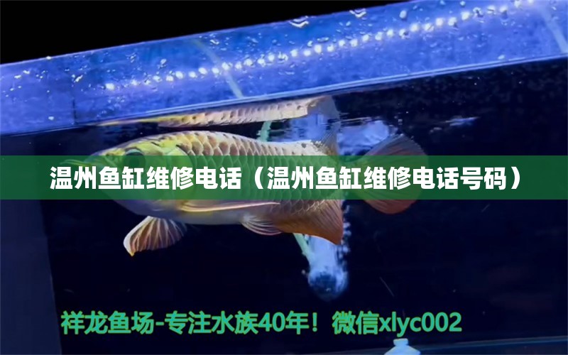 溫州魚(yú)缸維修電話(huà)（溫州魚(yú)缸維修電話(huà)號(hào)碼）