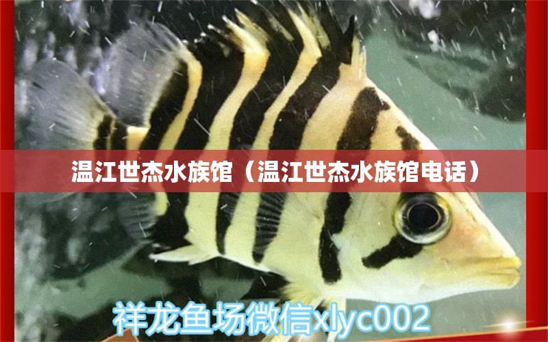 溫江世杰水族館（溫江世杰水族館電話） 全國水族館企業(yè)名錄