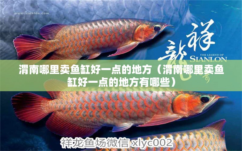 渭南哪里賣魚缸好一點的地方（渭南哪里賣魚缸好一點的地方有哪些）