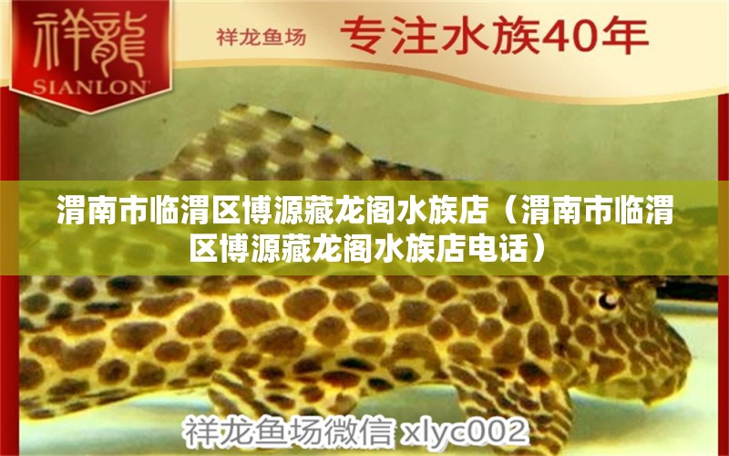 渭南市臨渭區(qū)博源藏龍閣水族店（渭南市臨渭區(qū)博源藏龍閣水族店電話(huà)）