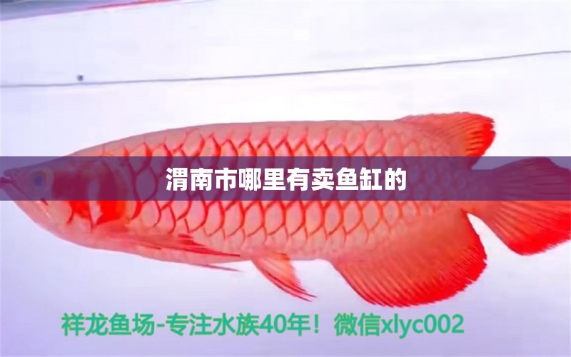 渭南市哪里有賣魚缸的 其他品牌魚缸