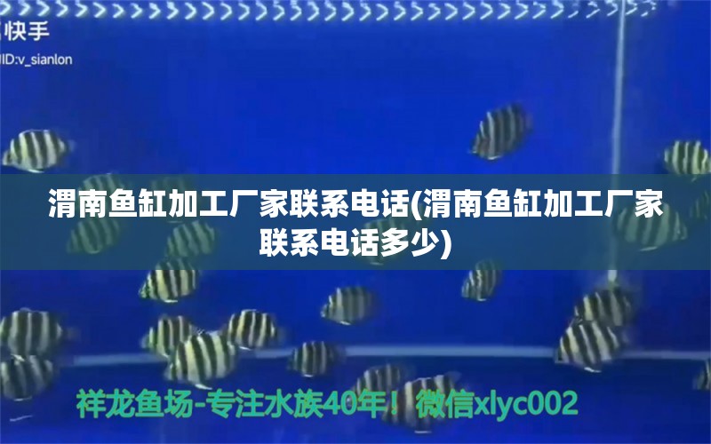 渭南魚缸加工廠家聯(lián)系電話(渭南魚缸加工廠家聯(lián)系電話多少) 魟魚百科