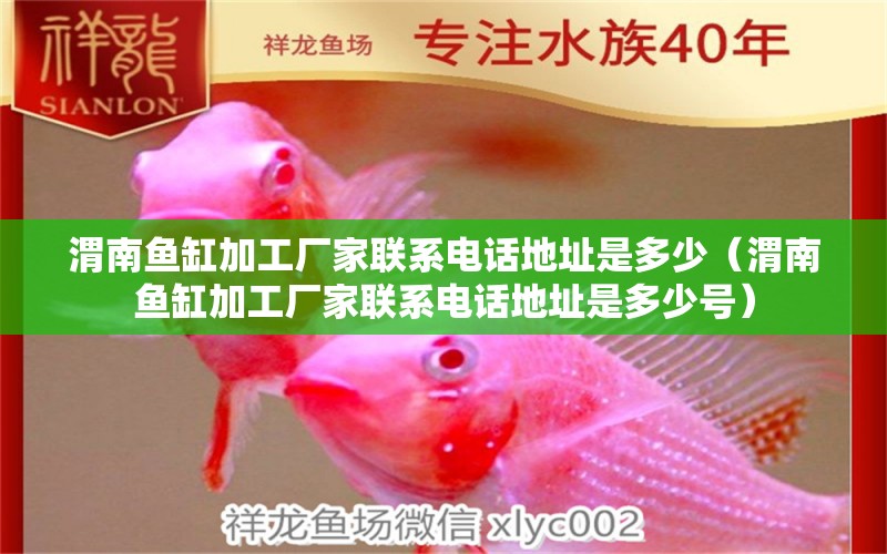 渭南魚缸加工廠家聯(lián)系電話地址是多少（渭南魚缸加工廠家聯(lián)系電話地址是多少號(hào)）