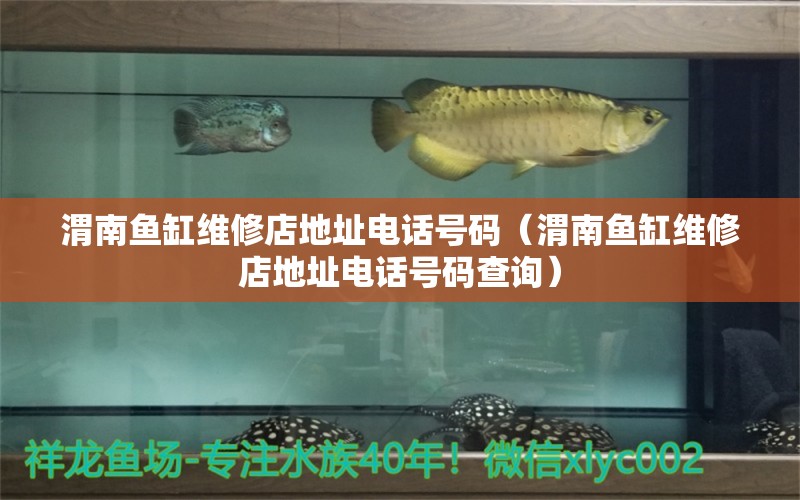 渭南魚缸維修店地址電話號碼（渭南魚缸維修店地址電話號碼查詢） 彩鰈魚缸（彩蝶魚缸）