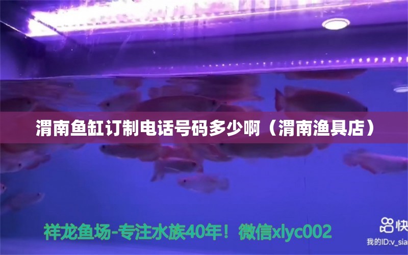 渭南魚缸訂制電話號碼多少?。ㄎ寄蠞O具店）