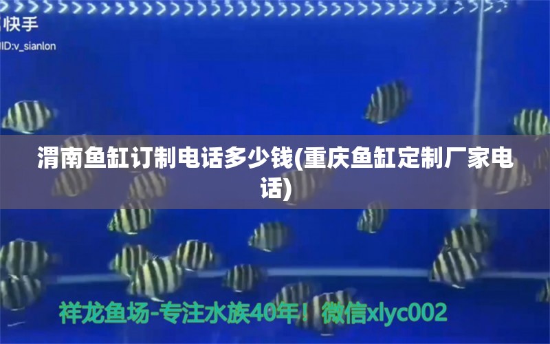 渭南魚缸訂制電話多少錢(重慶魚缸定制廠家電話)