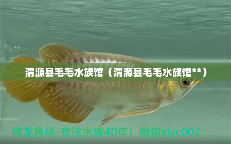 渭源縣毛毛水族館（渭源縣毛毛水族館**）