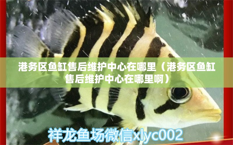 港務(wù)區(qū)魚缸售后維護中心在哪里（港務(wù)區(qū)魚缸售后維護中心在哪里?。? title=