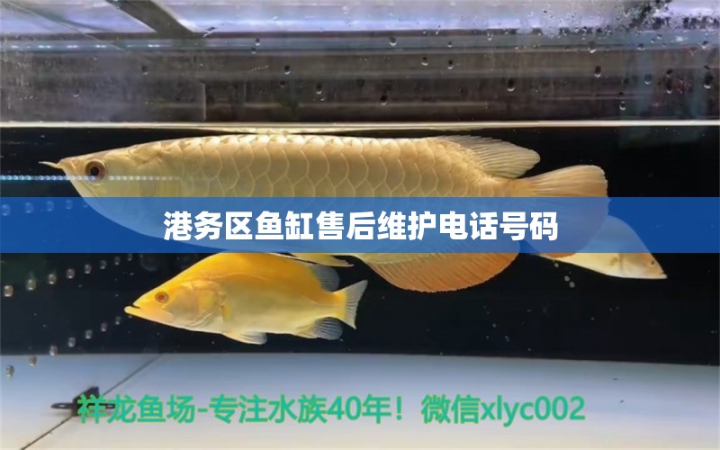 港務(wù)區(qū)魚缸售后維護電話號碼