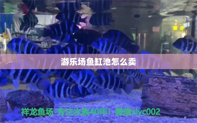 游樂場魚缸池怎么賣