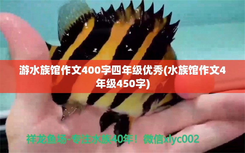 游水族館作文400字四年級優(yōu)秀(水族館作文4年級450字) 廣州龍魚批發(fā)市場