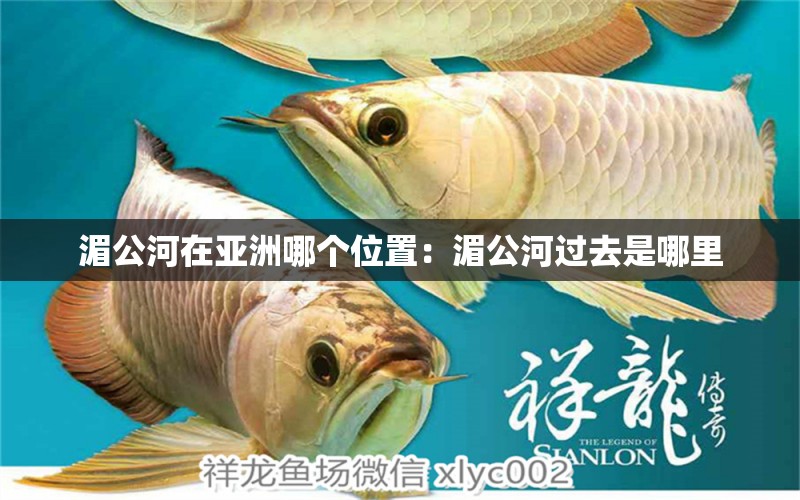 湄公河在亞洲哪個位置：湄公河過去是哪里 觀賞魚 第2張