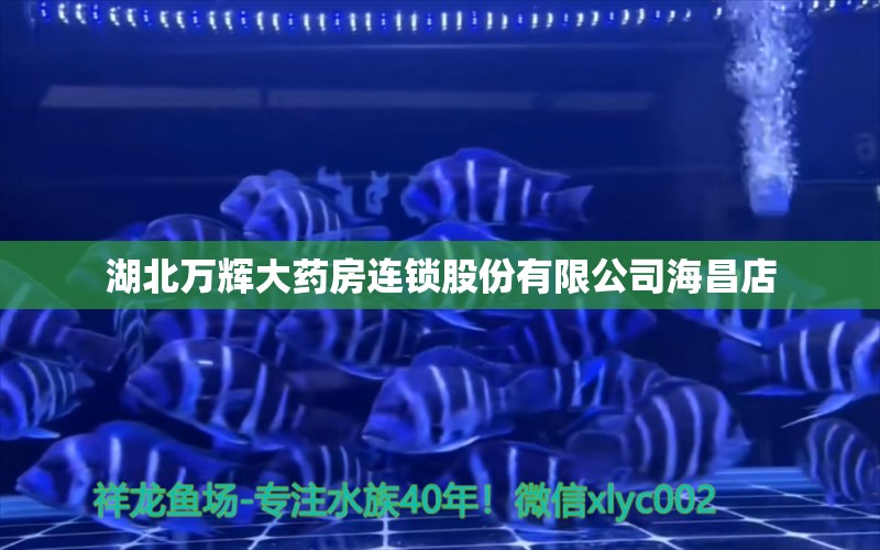 湖北萬輝大藥房連鎖股份有限公司海昌店 全國水族館企業(yè)名錄