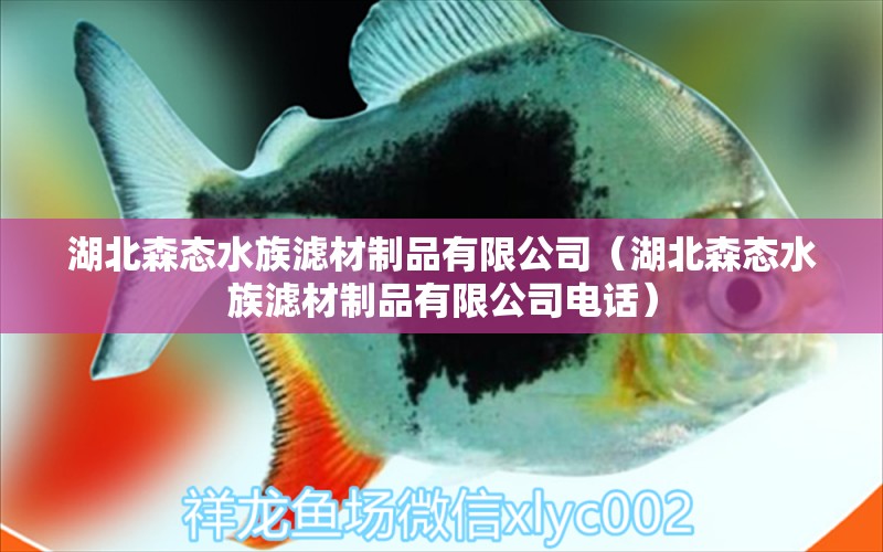 湖北森態(tài)水族濾材制品有限公司（湖北森態(tài)水族濾材制品有限公司電話）